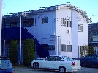 CIMG1048-2.jpg